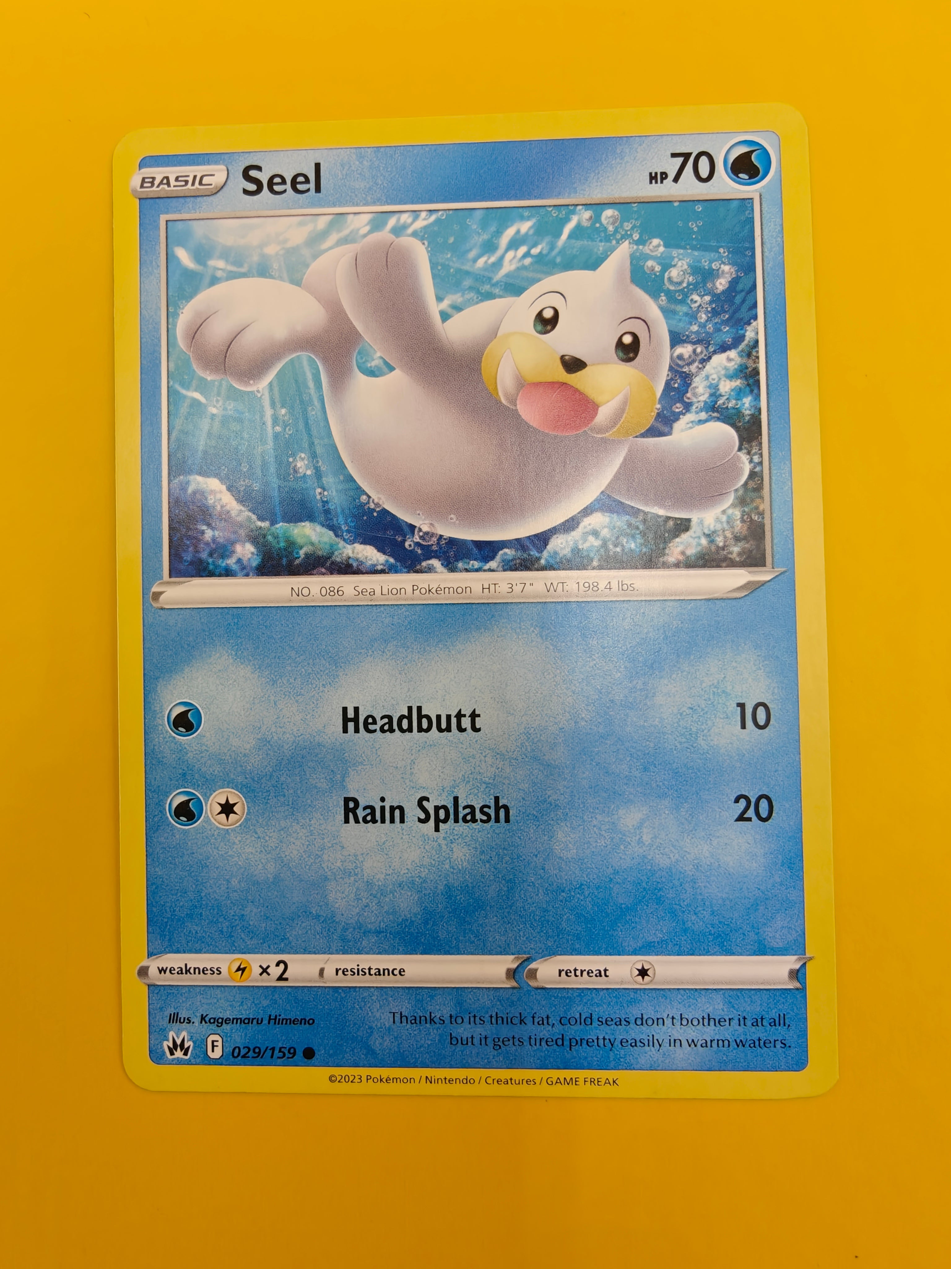 Seel - Crown Zenith