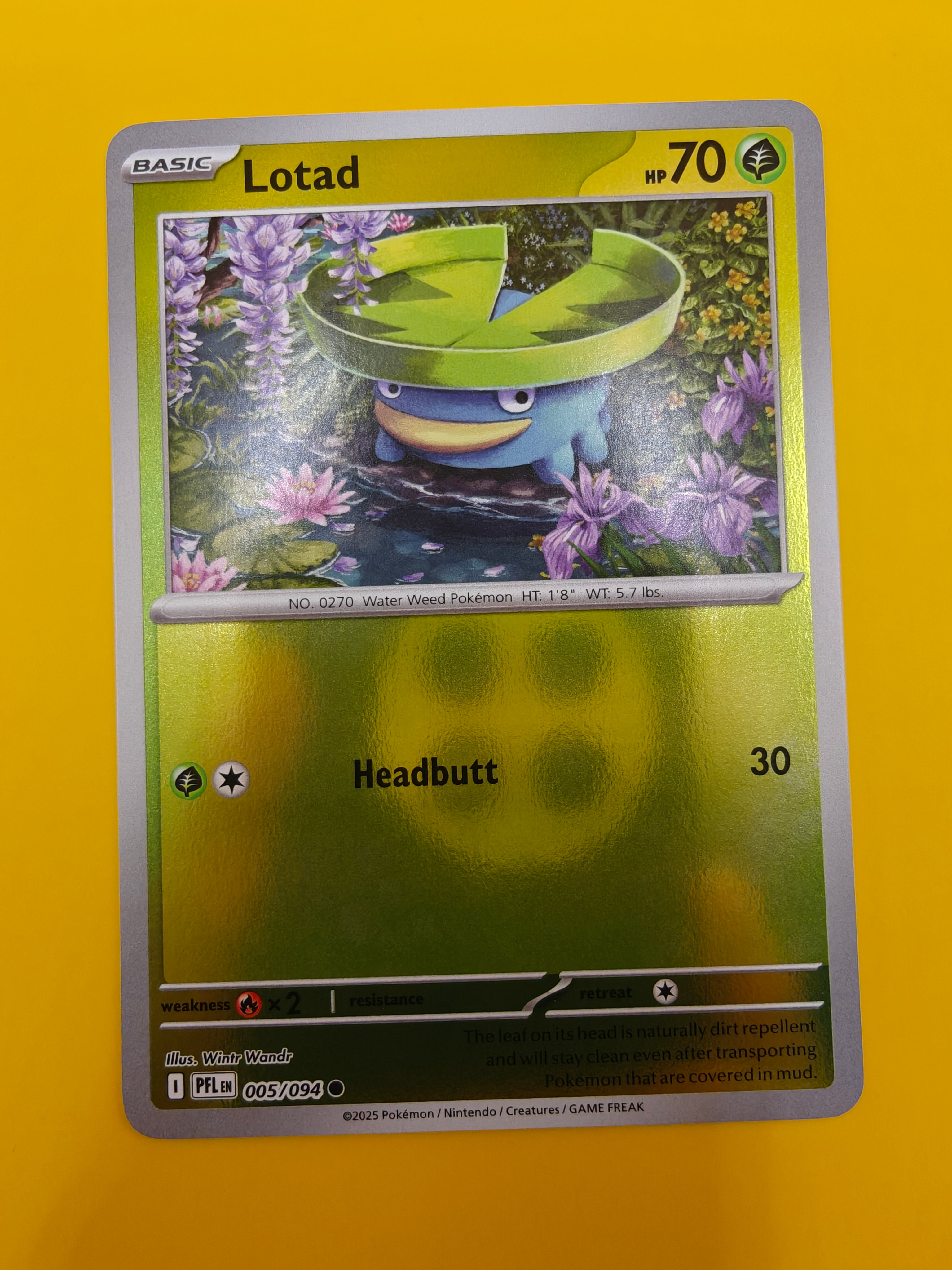 Lotad Reverse Holo - Phantasmal Flames